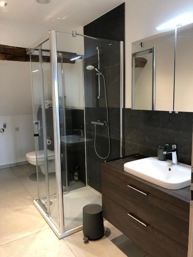 Postrelais Ardennes "Beau Sejour" Apartment Burg Reuland Luaran gambar
